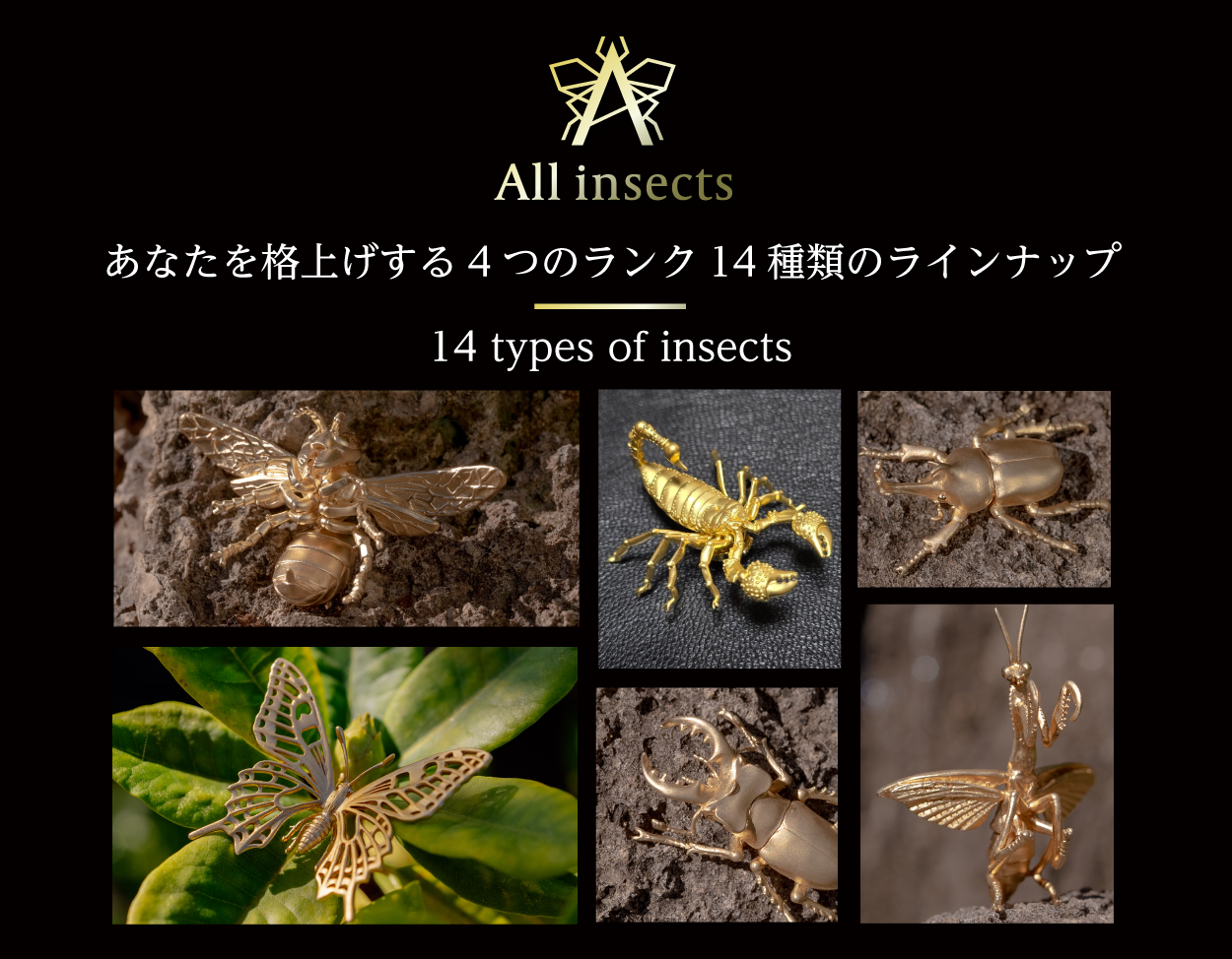 All insects あなたを格上げする4つのランク14種類のラインナップ
