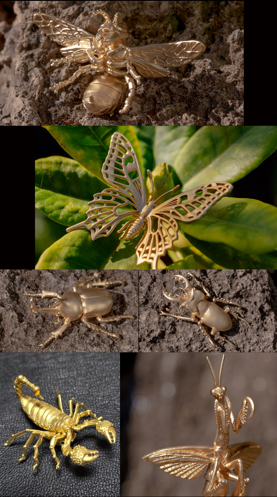 All insects