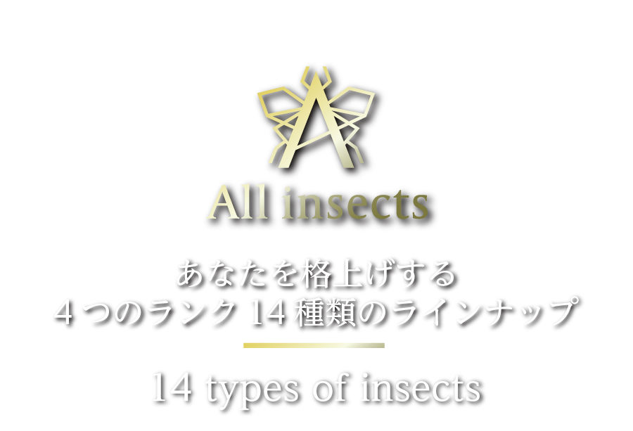 All insects あなたを格上げする4つのランク14種類のラインナップ