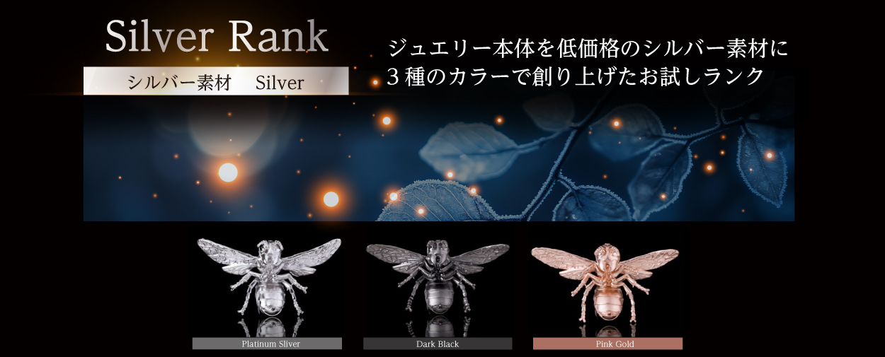 Silver Rank ジュエリー本体を低価格のシルバー素材に3種のカラーで作り上げたお試しランク